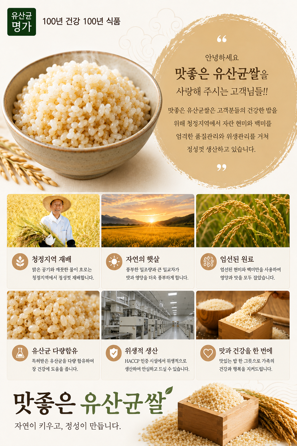유산균 현미쌀 상세 사진 1