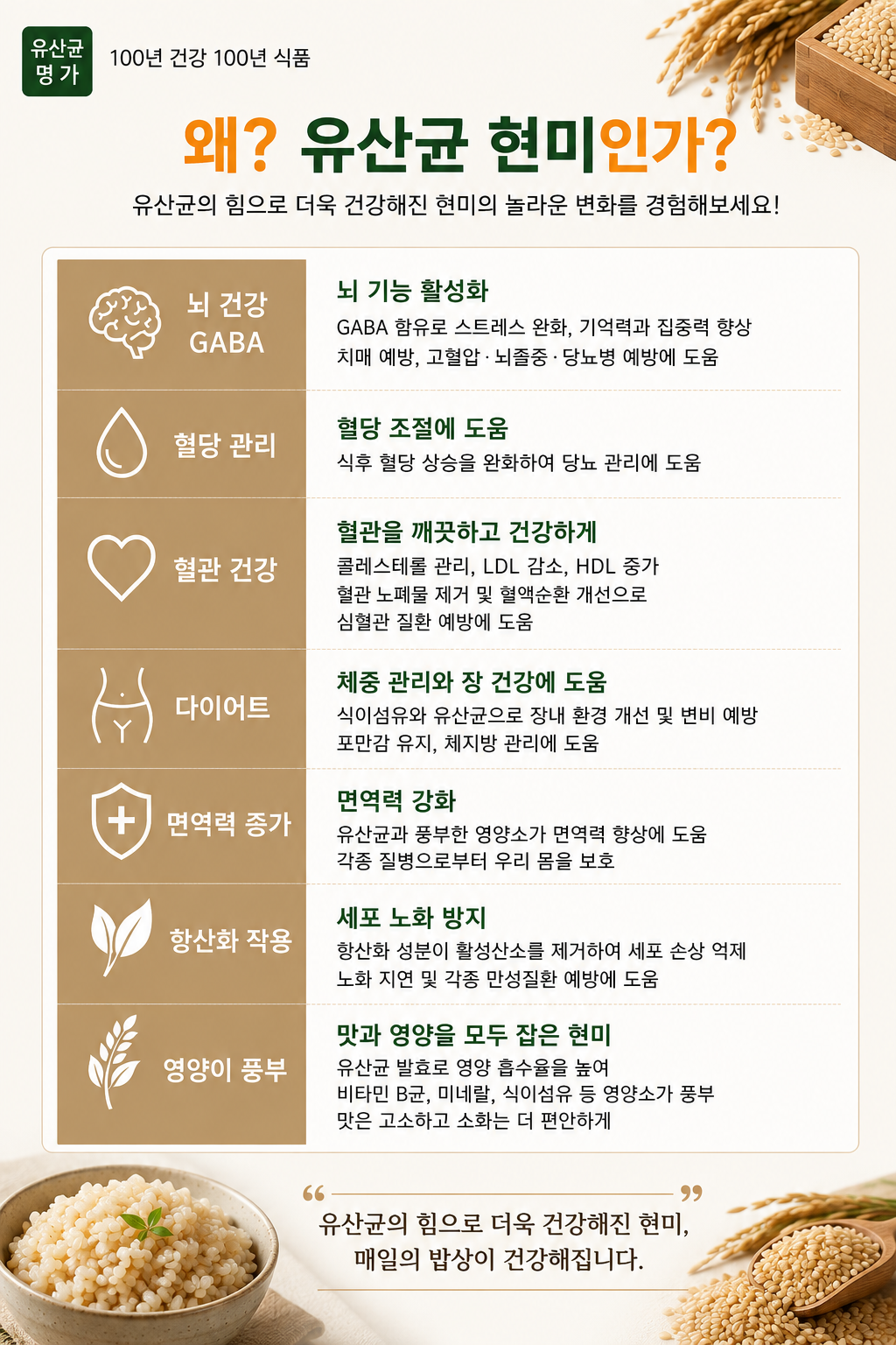 유산균 현미쌀 상세 사진 3