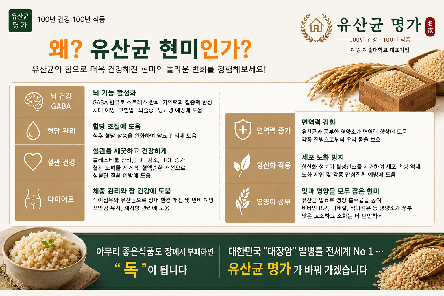 유산균 현미찹쌀 상세 사진 2